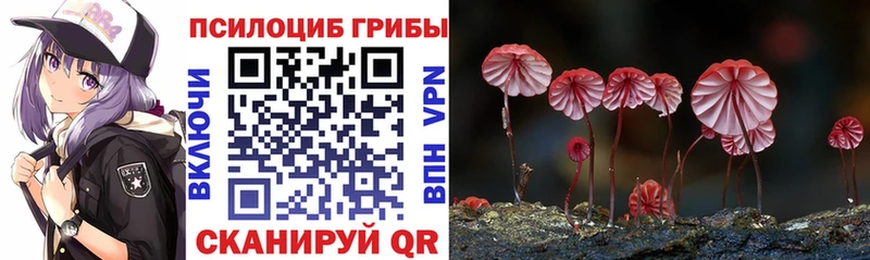 kraken как войти  Болгар  Псилоцибиновые грибы мицелий  где купить наркоту 